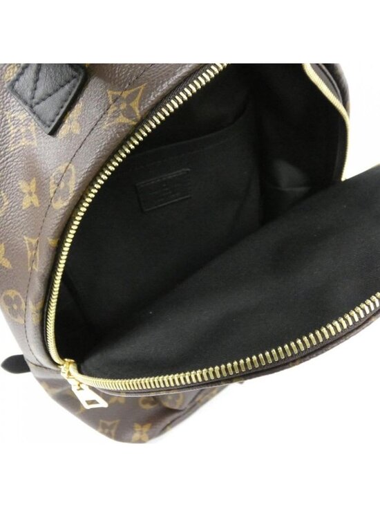 Louis Vuitton Monogram Palm Springs Backpack PM Rucksack Sac main image 7